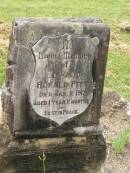 Edward Ronald PITT,
died 11 Jan 1917 aged 1 year 11 months;
Appletree Creek cemetery, Isis Shire