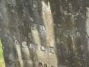 James GRIFFIN,
husband of Ellen Jane GRIFFIN,
died of injuries accidentally received
6 March 1909 aged 59 years 10 months;
Appletree Creek cemetery, Isis Shire