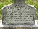 Annie Cecilia ROSENSTET,
died 25 Aug 1895 aged 3 years 6 months;
Appletree Creek cemetery, Isis Shire