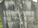 Arthur TANNA,
died 14 June 1911 aged 19 years;
Appletree Creek cemetery, Isis Shire