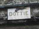 Dorothy (Dottie) Jane MOLLER,
wife,
died 9 June 1950 aged 38 years;
Appletree Creek cemetery, Isis Shire