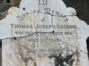 Thomas Joseph COCKING,
died 3 Sept 1914 aged 35 years;
Appletree Creek cemetery, Isis Shire