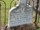 Isabella STUART,
died 4 Dec 1899 aged 61 years;
J.W. STUART,
husband,
died Hamilton Downs 1 Oct 1899 aged 64 years;
Appletree Creek cemetery, Isis Shire