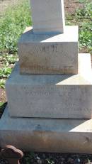 Bridget LEE
native of Ennis, Co Clare, Ireland
d: 12 Dec 1911 aged 64
wife of Patrick LEE
Aubigny Catholic Cemetery, Jondaryan