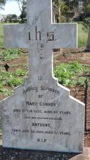 Mary CONROY
d: 3 Oct 1925 aged 86
husband
Anthony CONROY
d: 26 Jul 1928 aged 82
Aubigny Catholic Cemetery, Jondaryan