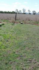Aubigny Catholic Cemetery, Jondaryan