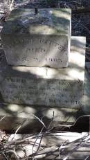 William RITTER
d: 1 Jan 1905 aged 3 y, 6 mo
son of J.W. and E RITTER
Aubigny St Johns Lutheran cemetery, Toowoomba Region