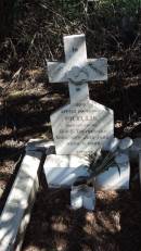 Phyllis DORNBUSCH
d: 30 Jul 1922 aged 11 days
daughter of D and E DORNBUSCH
Aubigny St Johns Lutheran cemetery, Toowoomba Region