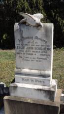 Leslie John SCHELBERG
d: 25 Mar 1938 aged 15 y, 11 mo
Aubigny St Johns Lutheran cemetery, Toowoomba Region
