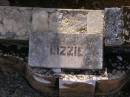 Lizzie SCHEFE, 1902 - 1932;
Ethel, sister, 1888 - 1933;
Maria F. SCHEFE, mother,
1861 - 1946;
Frederick M.C. SCHEFE, father,
1859 - 1940,
erected by wife & family;
Bergen Djuan cemetery, Crows Nest Shire