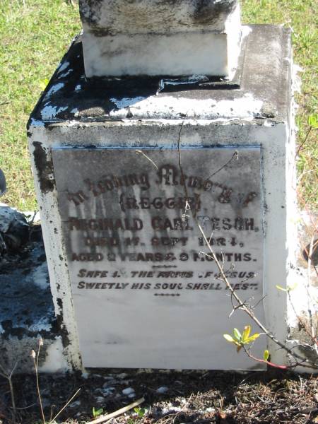 (Reggie)  | Reginald Carl TESCH  | D: 17 Sep 1924  | aged 2 years 9 months  |   | Bethania Lutheran Church, Bethania, Gold Coast  | 