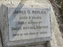 James O KOPLICK
aged 5 years
Bethel Lutheran Cemetery, Logan Reserve (Logan City)