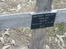 Bryson "Sonny" NOLAN
B: 19 Sep 1938
D: 7 Feb 1999
Bethel Lutheran Cemetery, Logan Reserve (Logan City)