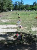 Blackbutt-Benarkin cemetery, South Burnett Region