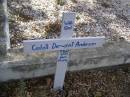 Cadell Derwent ANDERSON,
born sleeping 9 Sept 2006;
Brookfield Cemetery, Brisbane