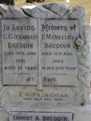 C.C. (Charles) BREDDIN,
died 14 June 1951 aged 76 years;
E.M. (Nellie) BREDDIN,
died 18 Aug 1963 in 83rd year;
E.M. (Tillie) GOUGH,
died 26 Dec 1964;
Ernest A. BREDDIN,
died 29 Nov 1973;
Robert W. BREDDIN, son,
died 20 June 1933 aged 19 years;
Dorothy GRANTZ, daughter,
died 25 Jan 1945 aged 43 years;
parents;
Adam (Mick) APPEL,
28-9-1894 - 13-4-1969;
Christina Grace APPEL, wife,
7-1-1903 - 31-7-1991;
Brookfield Cemetery, Brisbane