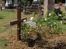 Francesca HARMAN-SCHUFFT, baby,
died 16 June 2002;
Brookfield Cemetery, Brisbane