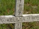 Mary McKellar MCINTOSH,
1867 - 1945;
Brooweena St Marys Anglican cemetery, Woocoo Shire