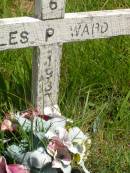 Charles P. WARD,
1906 - 1937;
Brooweena St Marys Anglican cemetery, Woocoo Shire