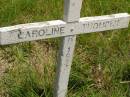Caroline THOMSEN,
died 1933;
Brooweena St Marys Anglican cemetery, Woocoo Shire