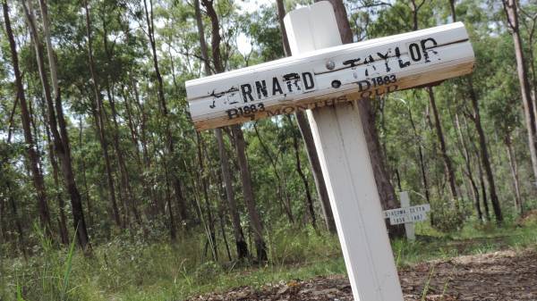 Bernard TAYLOR  | b: 1883  | d: 1883, aged 7 months  | Bunya cemetery, Pine Rivers  | 