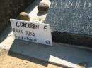 Harold Simon CORCORAN,
father grandfather brother,
14-8-1916? - 6-5-2000;
CORCORAN, Annie Ailsa,
16-6-18 - 31-05-05;
Canungra Cemetery, Beaudesert Shire
