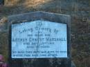 
Arthur Ernest MARSHALL, 
Sept 8th 1910
aged 10 yrs

Cedar Creek Cemetery, Ferny Grove, Brisbane

