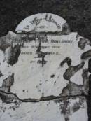 
Stephen Frank HOLLOWAY died 3 Sept 1915 aged 25 years;
Chambers Flat Cemetery, Beaudesert
