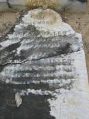 
Mary MILLER died 30 May 1901 aged 34 years;
husband Robert MILLER died 14 Feb 1903 aged 67 years;
Chambers Flat Cemetery, Beaudesert
