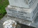 Catherine Handrah SULLIVAN,
wife of Michael Joseph SULLIVAN,
died 16 May 1930 aged 30 years;
Kathleen Theresa SULLIVAN, daughter,
died 16 Sept 1950 aged 21 years;
Michael Joseph SULLIVAN,
died 29 Dec 1974 aged 80 years;
Sacred Heart Catholic Church, Christmas Creek, Beaudesert Shire