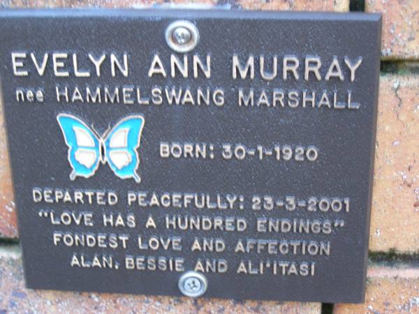 Evelyn Ann MURRAY (nee Hammelswang Marshall),  | born 30-1-1920,  | died 23-3-2001,  | love Alan, Bessie  Ali'itasi;  | Coochiemudlo Island Pine Ridge Chapel collumbarium, Redland Shire  | 