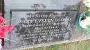 Mary Evelyn COLLINS
d: 17 May 2000 aged 80
wife of Max
mother of Terry, Lynne, Paul
Cooloola Coast Cemetery
