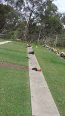 Cooloola Coast Cemetery