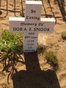 Dora E SNOOK
d: 29 Sep 1899, aged 14 months
Cossack (European and Japanese cemetery), WA