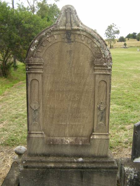 Thomas Henry,  | child of Edward & Margaret HAYES,  | died 28 July 1886 aged 9 months;  | Coulson General Cemetery, Scenic Rim Region  | 