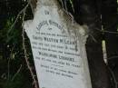 
David Weston MCLEAN,
son brother,
died 14 Oct 1915 aged 16 years,
erected by mother, sisters, brothers;
Wilhelmine LEBRANZ,
mother grandmother,
died 8 Aug 1911 aged 85 years;
Coulson General Cemetery, Scenic Rim Region
