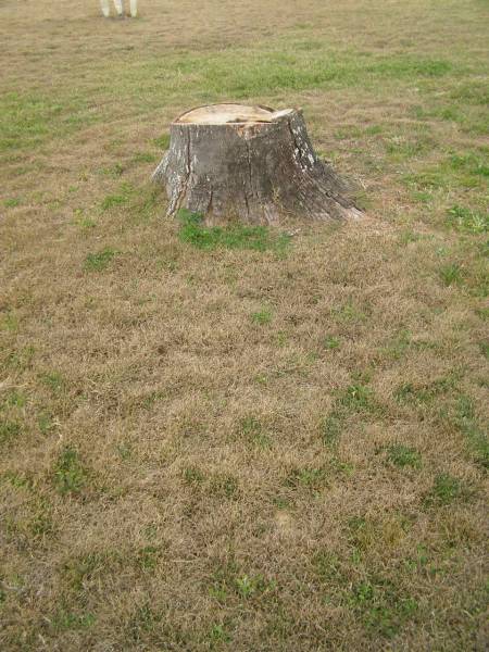 Cressbrook Homestead, Somerset Region  |   | 