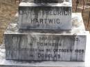 Carl Friedrich HARTWIG,
born 30 Sept 1860,
died 31 Oct 1906 in Douglas;
Elizabeth HARTWIG (nee ROSE),
born 24 Aug 1863,
died 15 July 1938;
Douglas Lutheran cemetery, Crows Nest Shire