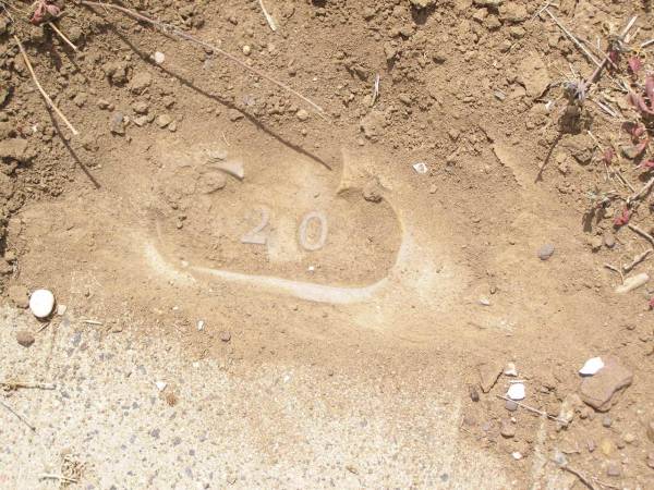 Douglas Lutheran cemetery, Crows Nest Shire  | 