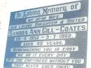 Sandra Ann GILL-COATES,
wife daughter sister,
29-4-1952 - 3-7-1992 aged 40 years;
Fernvale General Cemetery, Esk Shire