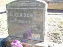 Alice A. SCHULZ,
died 23 Dec 1934 aged 13 years;
Fernvale General Cemetery, Esk Shire