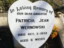 Patricia Jean WERNOWSKI, daughter,
died 3 Oct 1952 aged 6 weeks;
Fernvale General Cemetery, Esk Shire