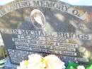 John Michael BRIGGS,
7-10-1965 - 3-11-1996,
son of Judy & Robert,
brother of Elizabeth, Robert, Shirley,
Paul & Barry;
Fernvale General Cemetery, Esk Shire