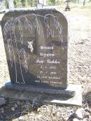 Iris GEHLER, daughter,
6-3-1971 - 17-3-1995;
Fernvale General Cemetery, Esk Shire