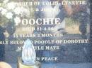 BROWELL;
Dorothy Olive ROTHWELL BOF DARBY,
29-4-32 - ,
mother of Colin, Lynette, Paul, John,
Terry (dec) & twins Julie Ann Mary &
Jacob Peter Hendrick (dec),
interred Lakes Entrance Vic;
Terry John DARBY,
26-12-58 - 22-4-98 aged 40,
father of Sarah & Anna DARBY,
son of Dorothy,
brother of Colin, Lynette, Paul & John;
Poochie,
died 21-4-96 aged 15 years 2 months,
poodle of Dorothy;
JEWELL;
ROTHWELL;
Fernvale General Cemetery, Esk Shire