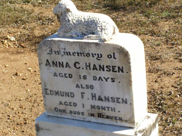 Anna C. HANSEN, aged 15 days;  | Edmund F. HANSEN, aged 1 month;  | Fernvale General Cemetery, Esk Shire  | 