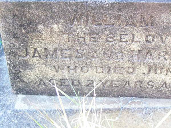 William Douglas,  | son of James and Harriet CRELLIN,  | died 15 June 1894 aged 2 years 10 months;  | Fernvale General Cemetery, Esk Shire  | 