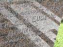 Kathleen Eugenie BOURKE, mother,
died 7 Feb 1950 aged 81 years;
Gleneagle Catholic cemetery, Beaudesert Shire