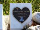 Connor James SLATTERY,
died 3 Aug 2001,
son of Chris & Lisa;
Gleneagle Catholic cemetery, Beaudesert Shire
