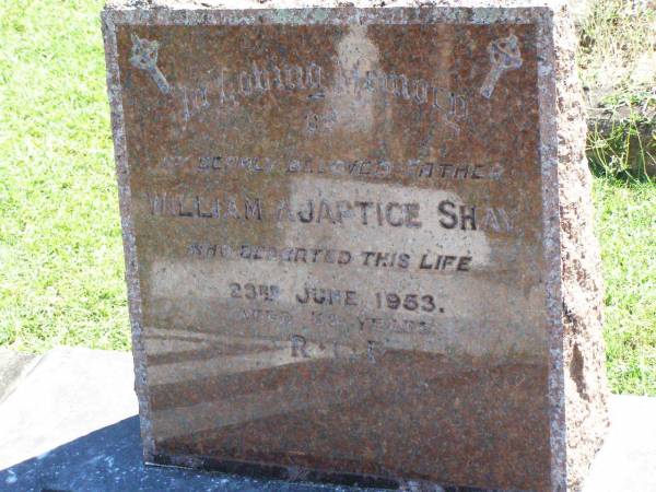 William Ajaptice SHAY, father,  | died 23 June 1953 aged 34 years;  | Gleneagle Catholic cemetery, Beaudesert Shire  | 